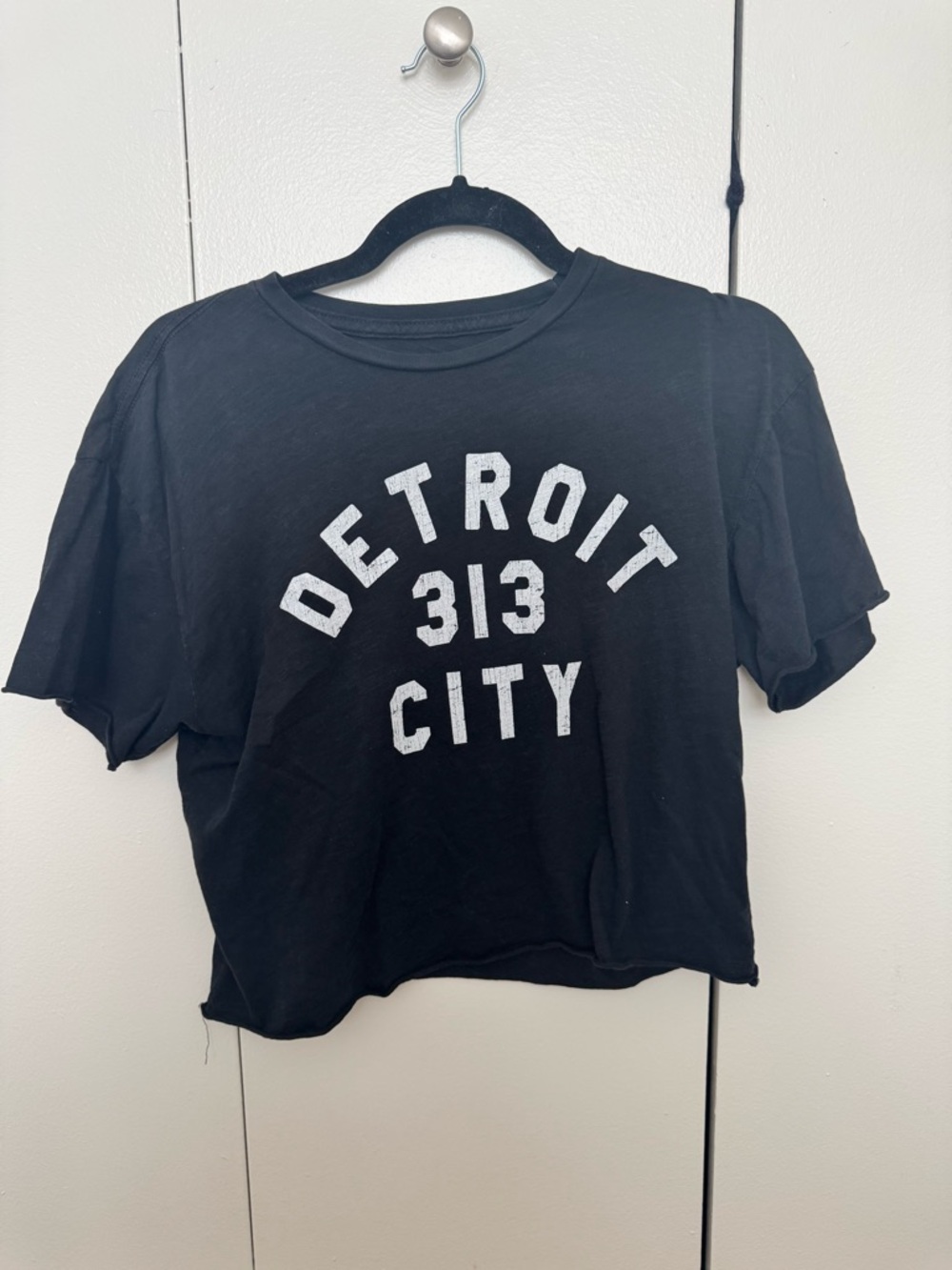 Retro Brand Detroit cropped tee